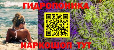 ALPHA PVP Краснокаменск