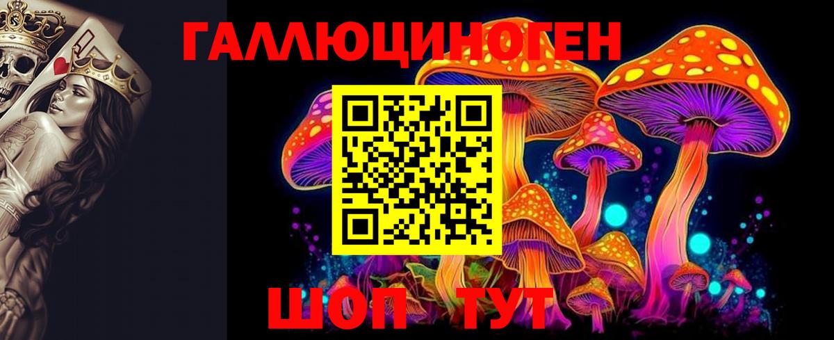 Кингисепп  Галлюциногенные грибы ЛСД  где найти   Вход с VPN 