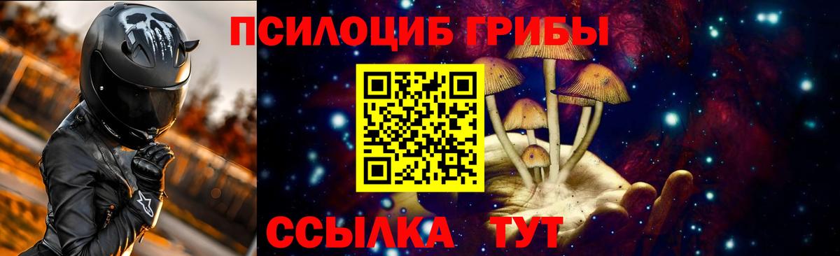 Галлюциногенные грибы Cubensis Кингисепп